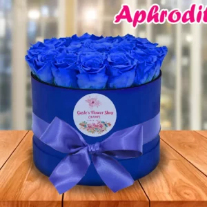 Aphrodite
