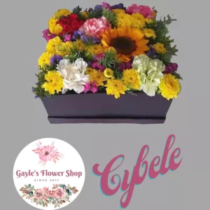 Cybele