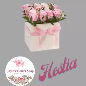 Hestia