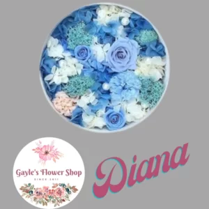 Diana Blue